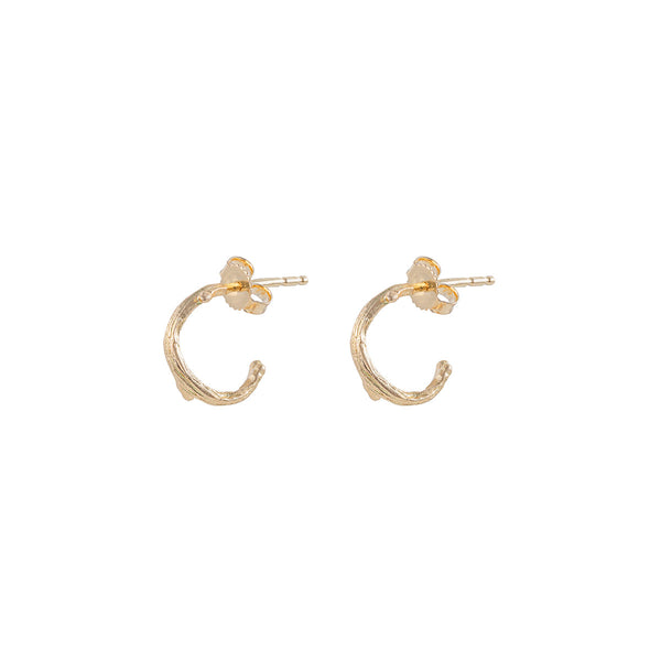 Front view of the Hawthorn Twig Small Hoop Earrings in 14k gold, featuring a delicate twig texture.