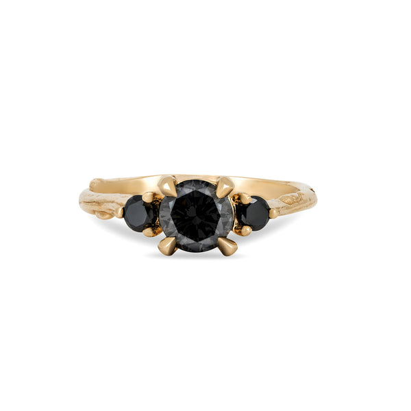 Front view of the You, Me & Magic 1ct Black Diamond Engagement Ring in 14k solid gold with a twig band.