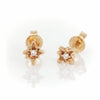 North Star Diamond Stud Earrings - 14k Gold - Video cover