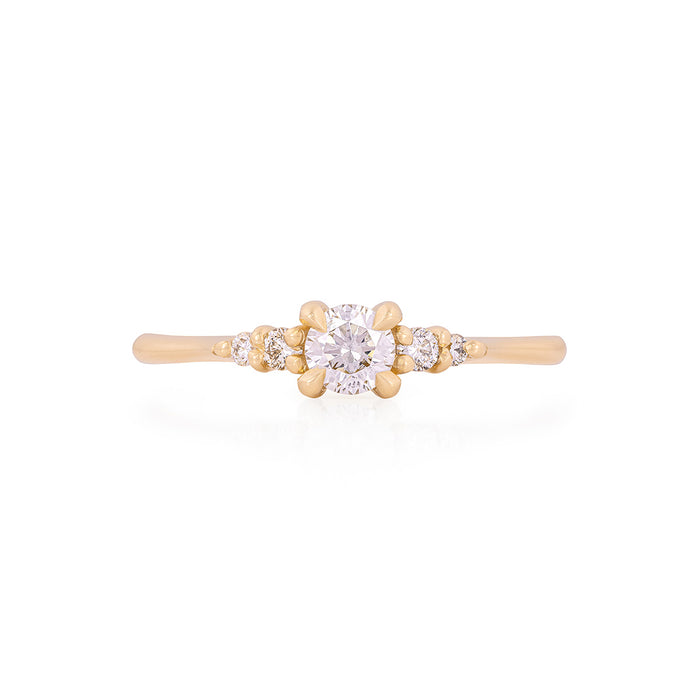 Evermore 0.25ct Diamond Engagement Ring - 14k Gold Polished Band