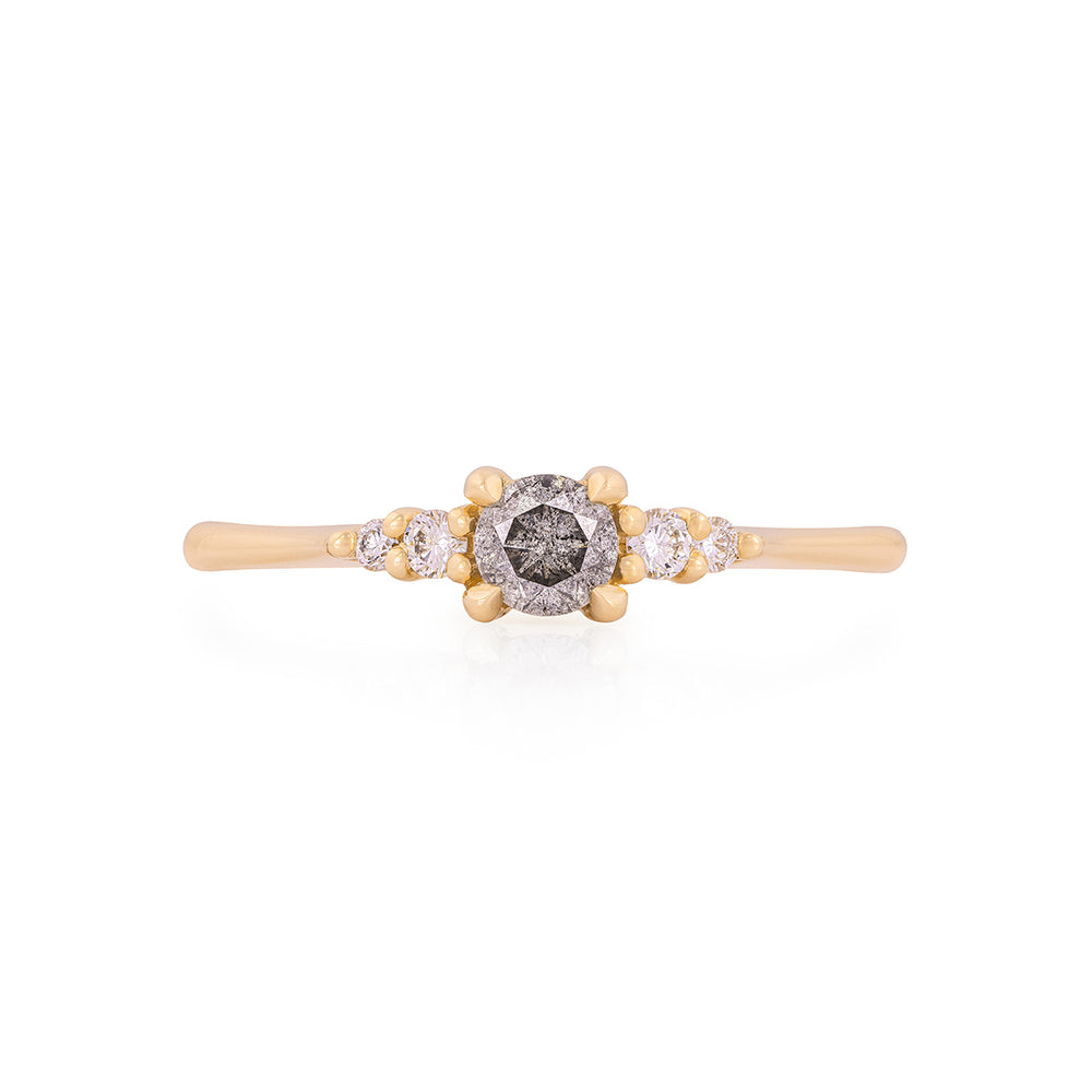 Evermore 0.25ct Grey Diamond Engagement Ring - 14k Gold Polished Band