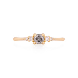 Evermore 0.25ct Grey Diamond Engagement Ring - 14k Gold Polished Band