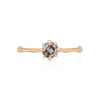Forever 0.5ct Grey Diamond Engagement Ring - 14k Gold Twig Band