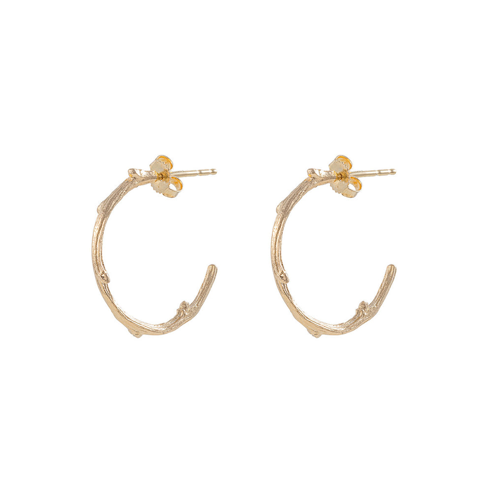 Hawthorn Twig 14k Gold Large Hoop Earrings Chupi
