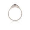 Evermore 0.25ct Grey Diamond Engagement Ring - 14k White Gold Polished Band