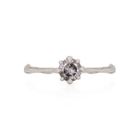 Forever 0.5ct Grey Diamond Engagement Ring - 14k White Gold Twig Band