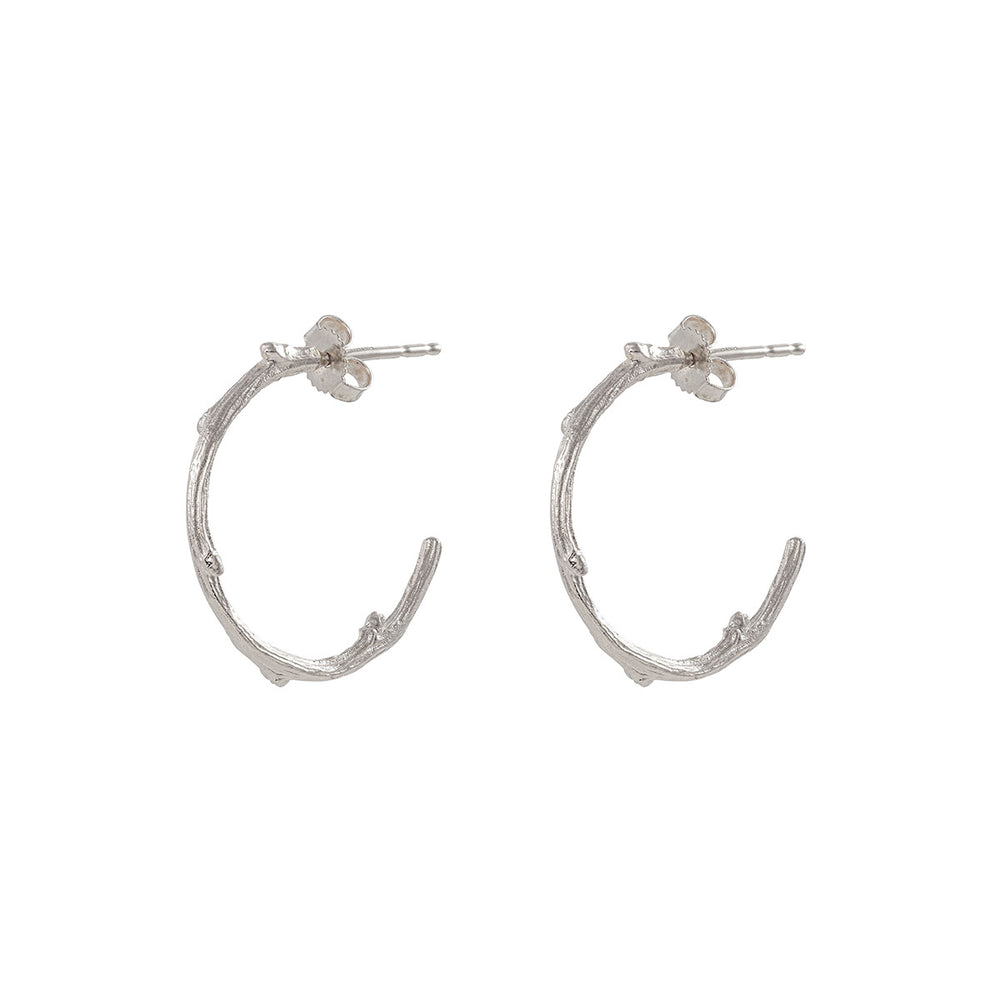 Hawthorn Twig - 14k White Gold Large Hoop Earrings