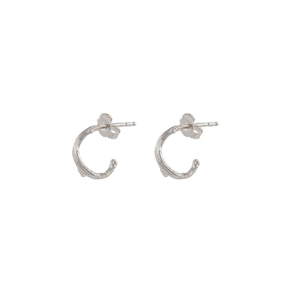 Hawthorn Twig - 14k White Gold Small Hoop Earrings