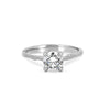 Thumbnail of Darling - Solitaire Diamond Engagement Ring 14k White Gold