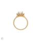 Top-down view of the Hero Radiant Cut Three Stone Diamond Engagement Ring in 14k solid gold, highlighting the three radiant-cut diamonds.