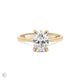 Moonlight - Oval Diamond Engagement Ring 14k Gold