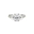 Starlight - Oval Diamond Engagement Ring 14k White Gold