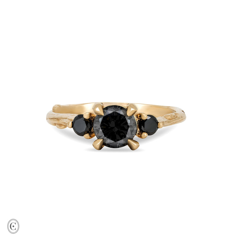 Front view of the You, Me & Magic 1ct Black Diamond Engagement Ring in 14k solid gold with a twig band.