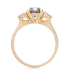 You, Me & Magic 1ct Grey Diamond Engagement Ring - 14k Gold Polished Band