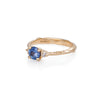 Love is All 0.5ct Blue Sapphire Engagement Ring - 14k Gold Twig Band