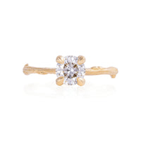 Sparkle 1ct Diamond Engagement Ring - 14k Gold Twig Band