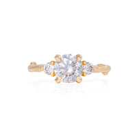 You, Me & Magic 1ct Diamond Engagement Ring - 14k Gold Twig Band