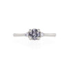 Love is All 0.5ct Grey Diamond Engagement Ring - 14k White Gold Polished Band