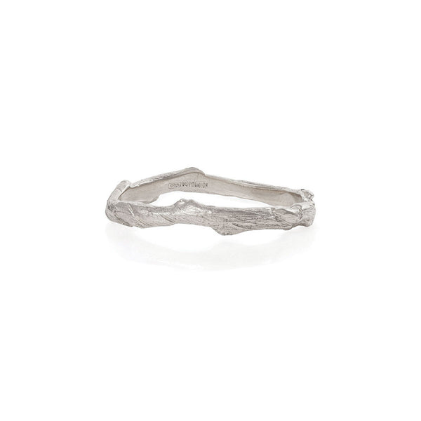 Hawthorn Twig - 14k White Gold Infinity Ring