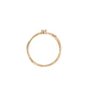Promise Me - 14k Gold Twig Band Diamond Ring